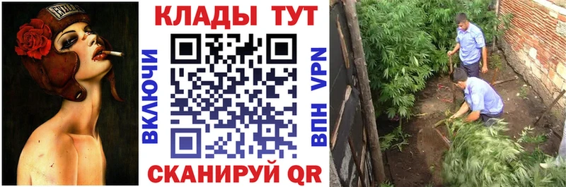 Наркошоп купить КОКАИН  Alpha-PVP  Мефедрон  Бутират  Каннабис  ГАШИШ  Асино