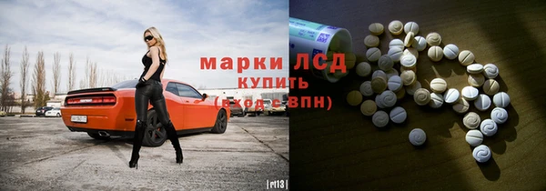 spice Арсеньев