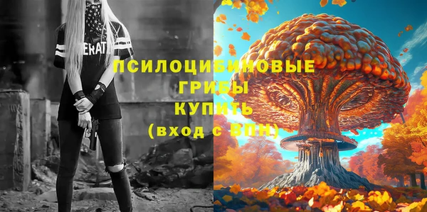 2c-b Аркадак