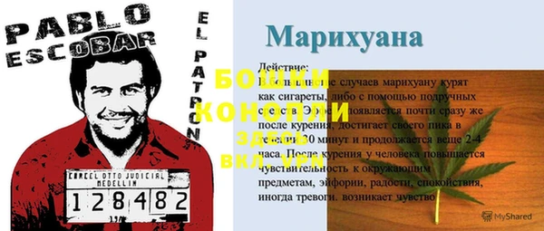 ГАЛЛЮЦИНОГЕННЫЕ ГРИБЫ Армянск